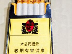 冬虫夏草(硬新版)