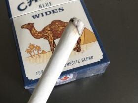 骆驼(硬蓝美免)