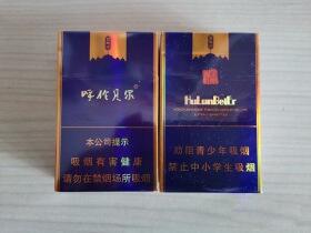 呼伦贝尔(金帐汗)