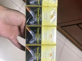 骆驼(硬黄蒙古加税)