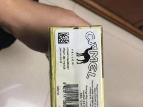 骆驼(硬黄蒙古加税)