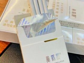 黄鹤楼(硬天骄圣地细支)