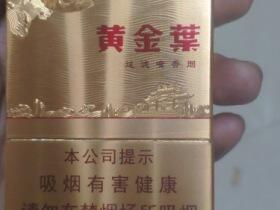 黄金叶(金鲤中支)