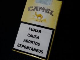 骆驼(软黄阿根廷完税版)