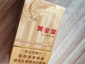 黄金叶(金鲤中支)