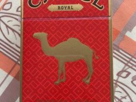 骆驼(皇家硬红)