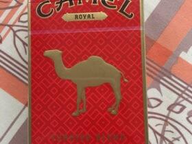 骆驼(皇家硬红)