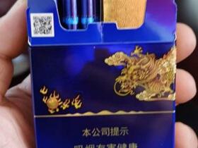 真龙(海韵中支)