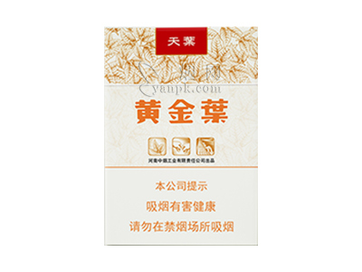 黄金叶天叶中支图片