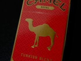 骆驼(皇家硬红)