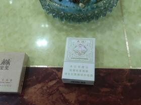 娇子(大连浪漫)