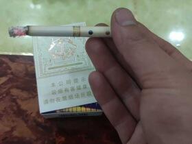 娇子(大连浪漫)