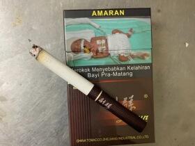 利群(阳光马来西亚版)