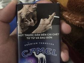 骆驼(黑双爆珠越南版)