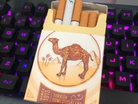 骆驼(硬黄美版)