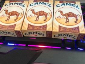 骆驼(硬黄美版)