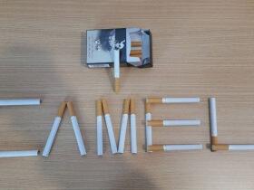 骆驼(硬黑伊朗伊斯兰共和国本土零售版)