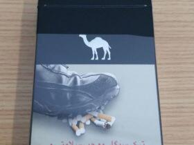 骆驼(硬黑伊朗伊斯兰共和国本土零售版)