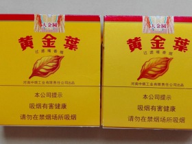 黄金叶(硬大金圆双十支)