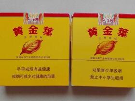 黄金叶(硬大金圆双十支)