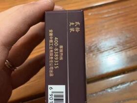 黄山松(迎客松赢客)