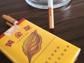 黄金叶(软大金圆)