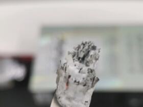 娇子(宽窄好运)