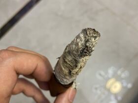 黄鹤楼(雪之梦8号)