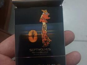 七匹狼(乘风启航)