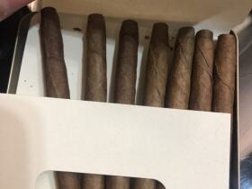 长城(迷你香草)