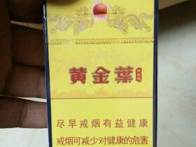 黄金叶(中华龙)