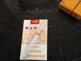 黄金叶(软黄金)