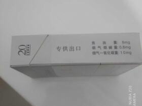 泰山(望岳出口版)