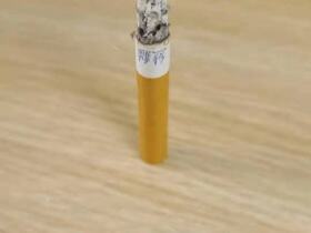 熊猫(硬时代版)