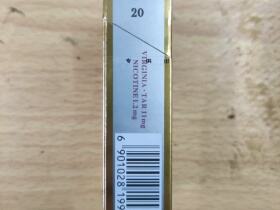 芙蓉王(硬印尼专供)