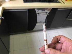 黄金叶(软黄金)