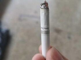 七星(软黑标·日免)