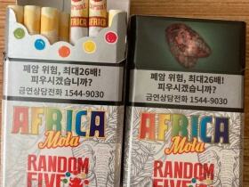 铁塔猫(象之谜韩免版)