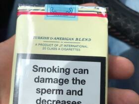 骆驼(无嘴中南半岛免税)