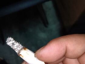 和平(无嘴日本岛内版)