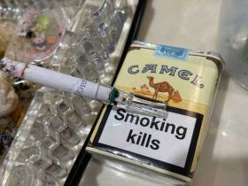 骆驼(无嘴中南半岛免税)