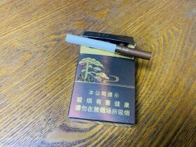 黄山松(回味迎客松)