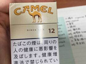 骆驼(硬12mg日税版)