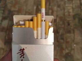 黄山(中国画细支.新版)