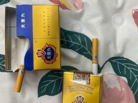 云烟(软大重九)