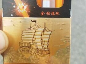 七匹狼(乘风启航)