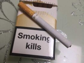 万宝路(白金埃及免税版)