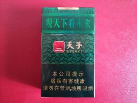 天子(高光中支)