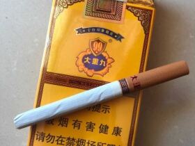 云烟(软大重九)