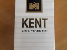 健牌(美产微米滤嘴)